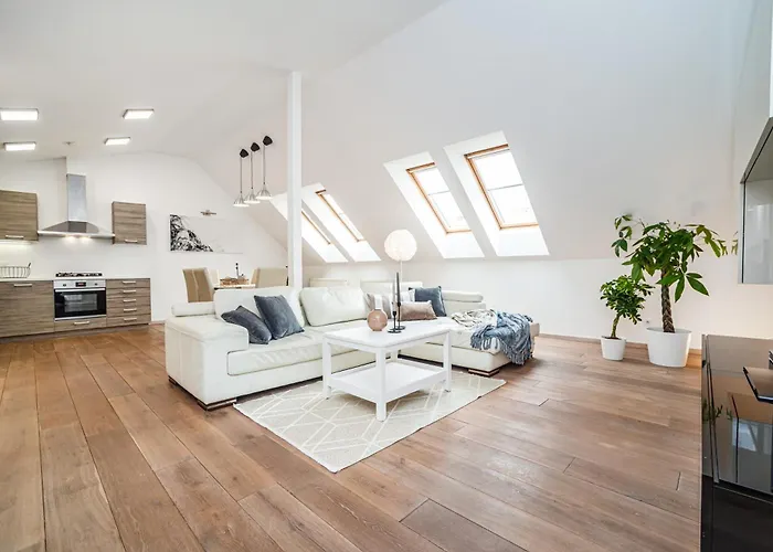 Large And Stylish In Apartamento *
