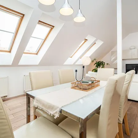 Large And Stylish In Appartement Prague