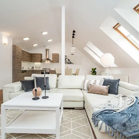 Large And Stylish In Appartement